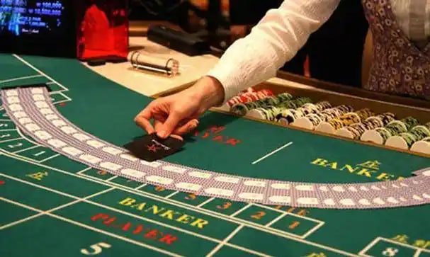 taya casino
