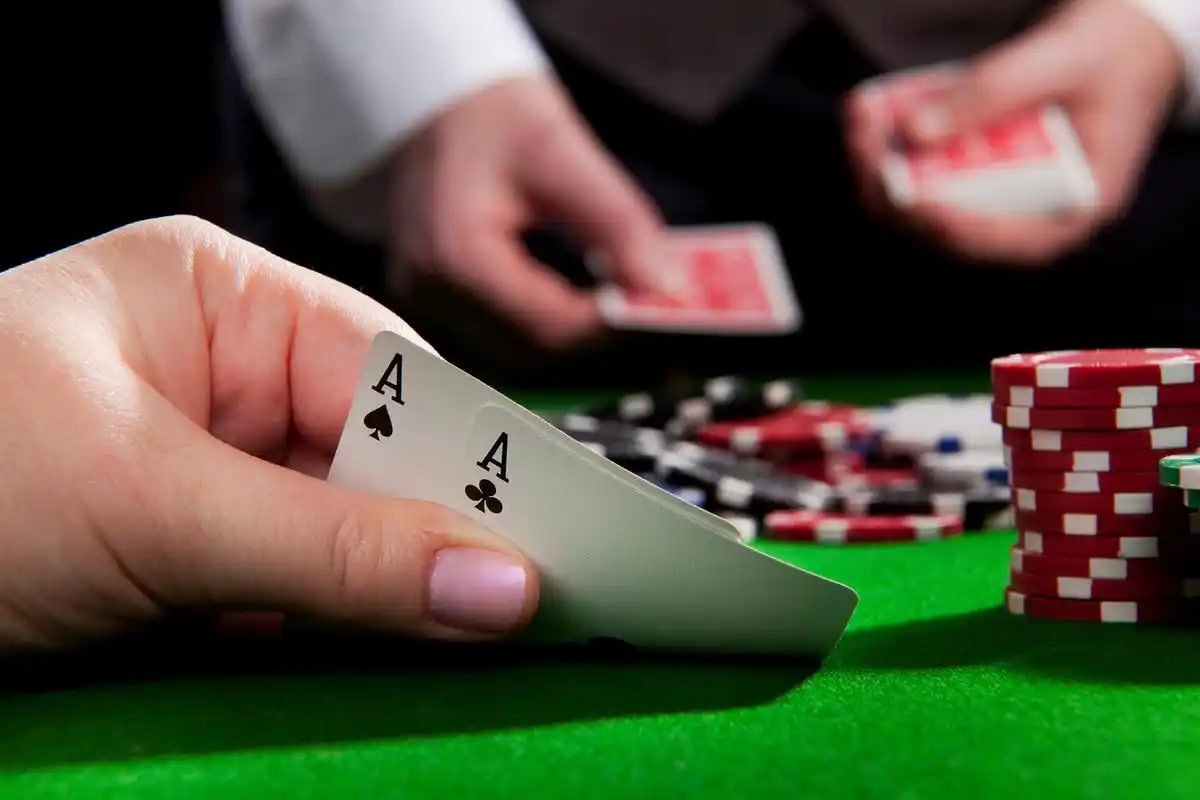 taya casino